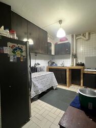 Blk 123 Mcnair Spring (Kallang/Whampoa), HDB 3 Rooms #505023311